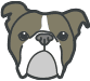 Dog suggests CC Dundee for plumbing services